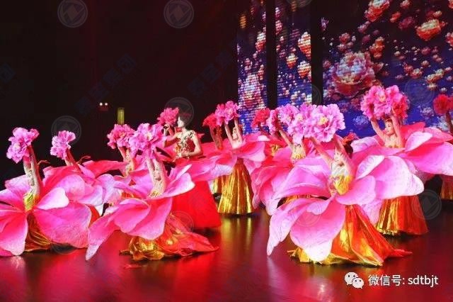 中国·维多利亚|品牌|官方网站-Official website