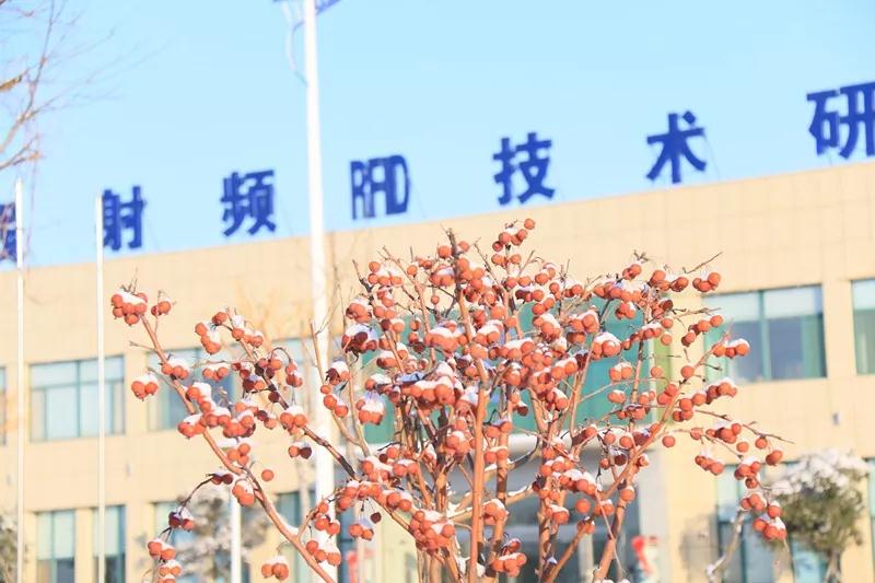 中国·维多利亚|品牌|官方网站-Official website