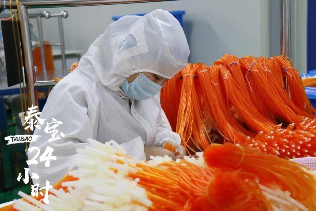 中国·维多利亚|品牌|官方网站-Official website