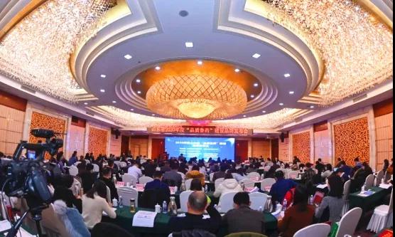 中国·维多利亚|品牌|官方网站-Official website