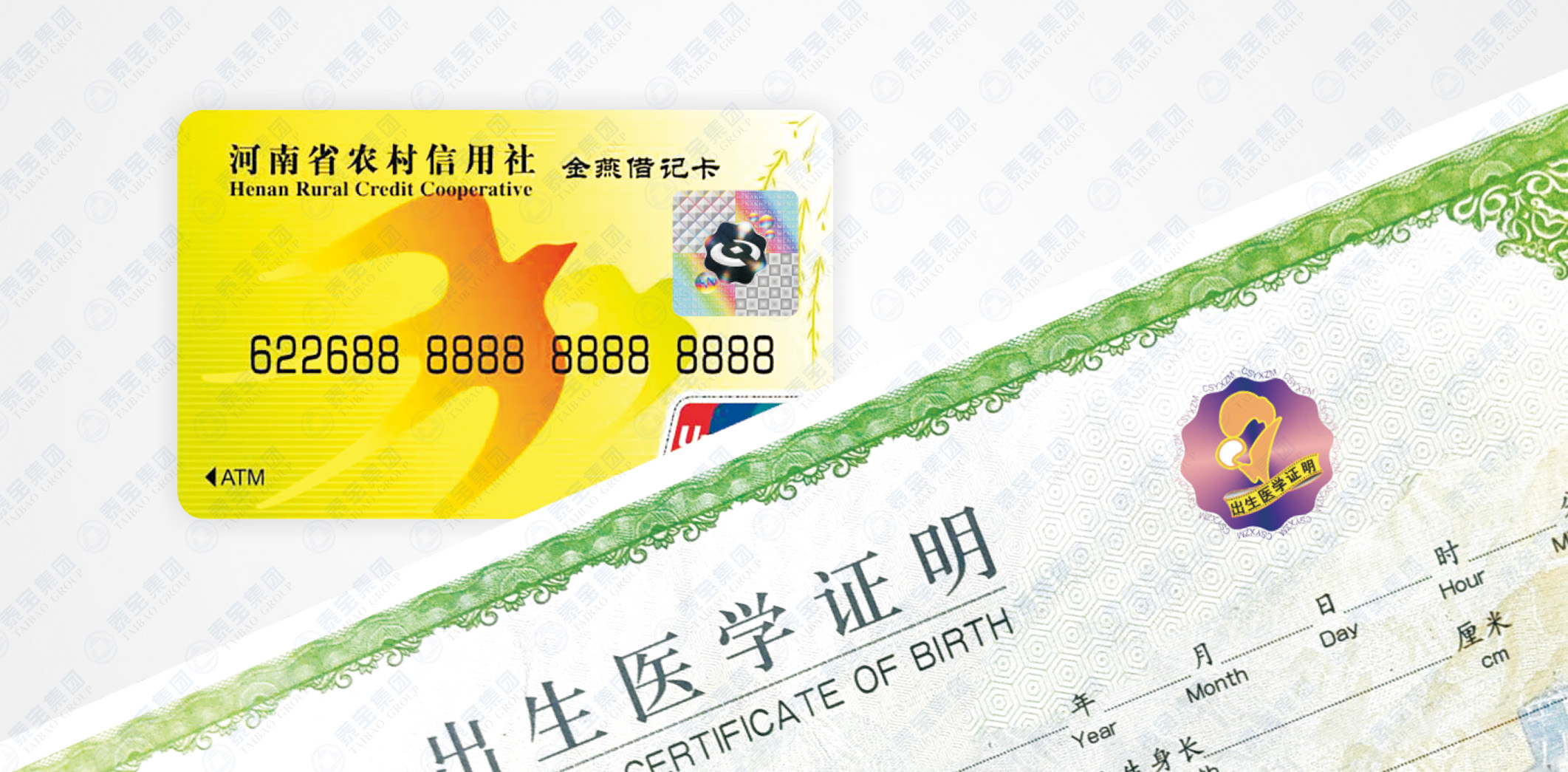 中国·维多利亚|品牌|官方网站-Official website